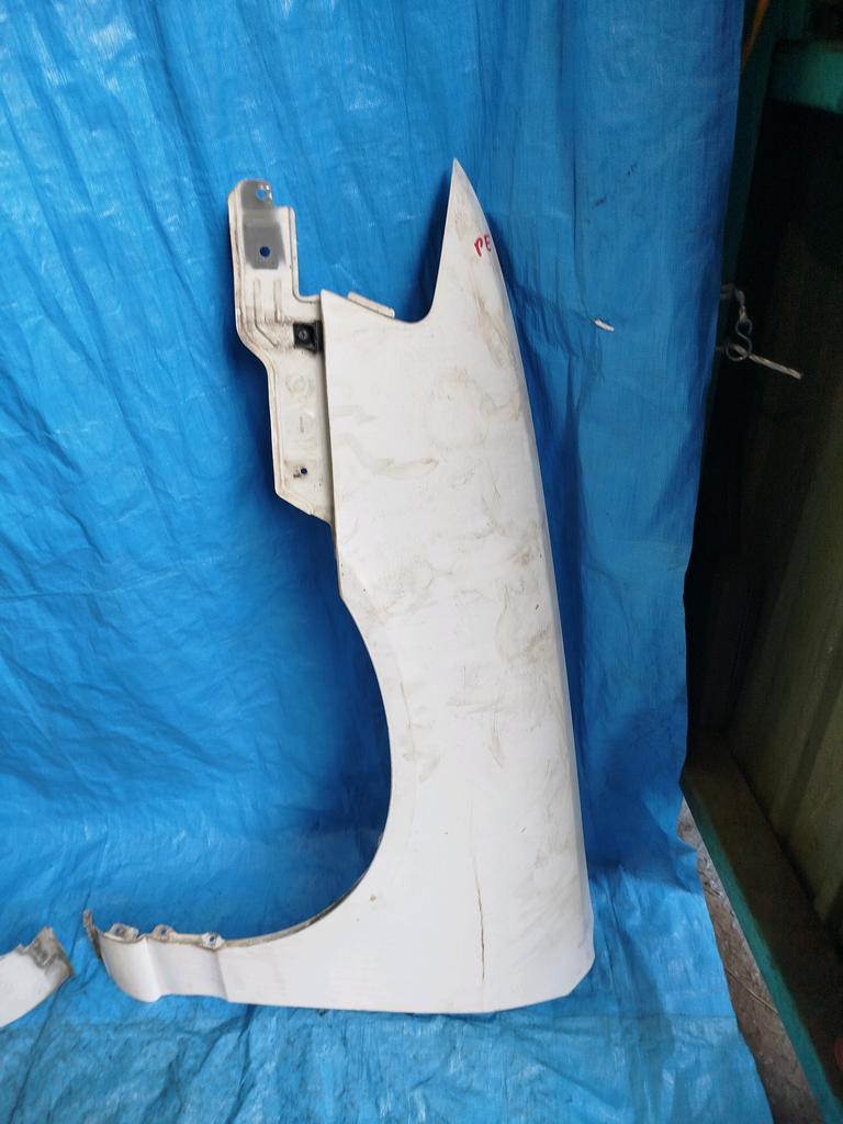 GUARDAFANGO LH NISSAN AD VAN 1999-2008 VAN VFY11 WHNY11